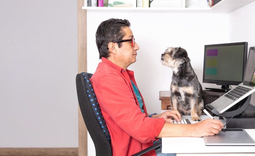 Pet-Friendly Workplace: The Benefits and Pitfalls